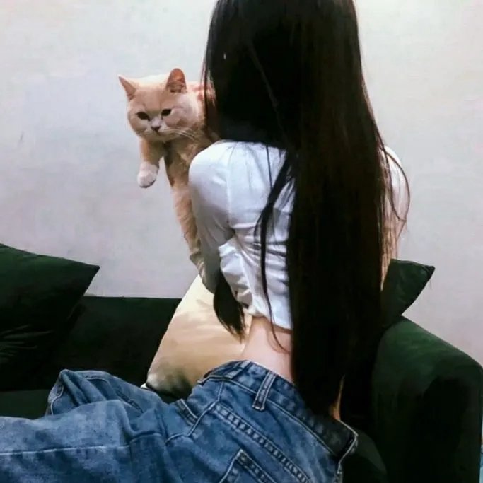 女爵恩仇录2︰复仇之路